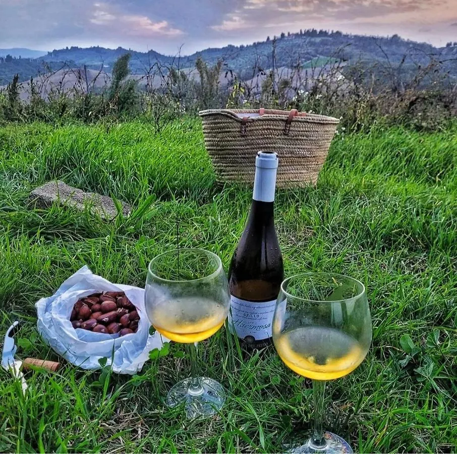 La Selva Διαμέρισμα Certaldo Ιταλία